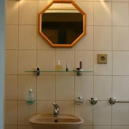 بيت ضيافة U Vlasku 3*
